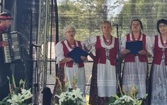 &bdquo;WILKOWIANIE&rdquo; W SIELINKU