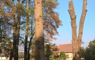 WP_20181018_11_17_37_Pro