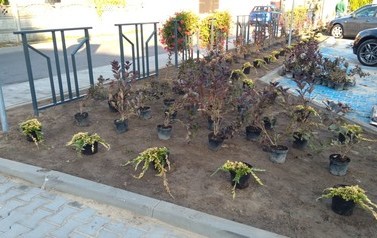 IMG_20181012_091000