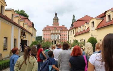 image_6483441x
