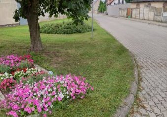 image000002
