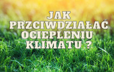 Zdjęcie przedstawia plakat "Jak przeciwdziałać ociepleniu klimatu"