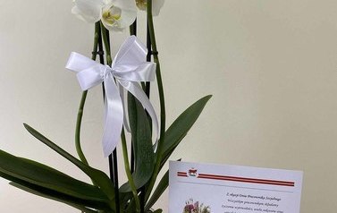 Zdjęcie przedstawia kwiatek storczyk