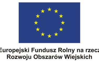 Logo Unie Europejskiej