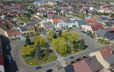 Gmina Wielichowa kwiaty