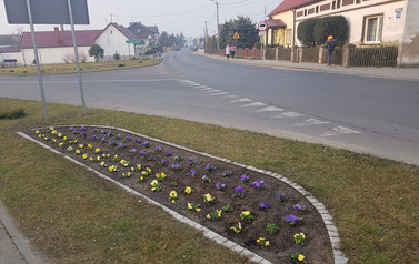 nasadzenie kwiat&oacute;w w Łubnicy