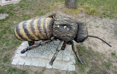 Dewastacja pszczoły