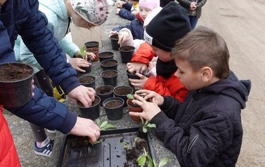 Wiosenne projekty