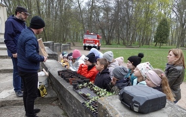 Wiosenne projekty