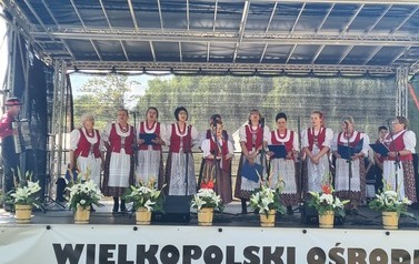 &bdquo;WILKOWIANIE&rdquo; W SIELINKU