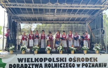 &bdquo;WILKOWIANIE&rdquo; W SIELINKU