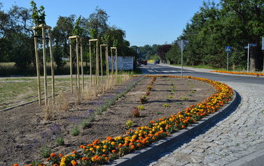 Nasadzenia roślin ozdobnych i kwiat&oacute;w na terenie Gminie Wielichowo