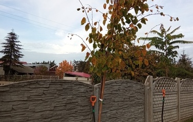 IMG_20221021_122100