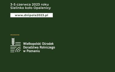 KDP - 1080x1920