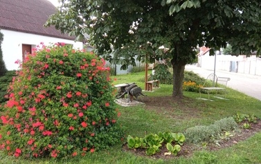 IMG_20230808_133920[1]