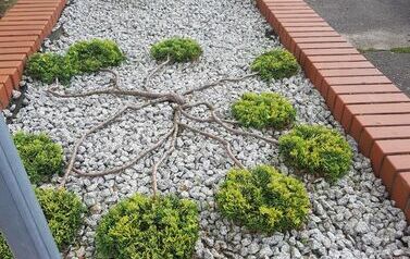 20230810_155853