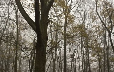 WP_20181115_10_14_03_Pro