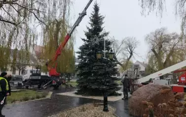 zdjęcia przedstawiające ustawianie choinki