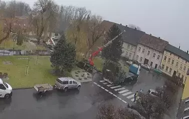 zdjęcia przedstawiające ustawianie choinki