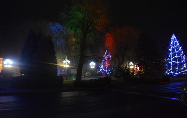 DSC_1013-1