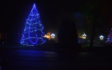 DSC_1009-1