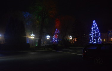 DSC_1004-1
