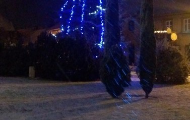 IMG_20190103_070855