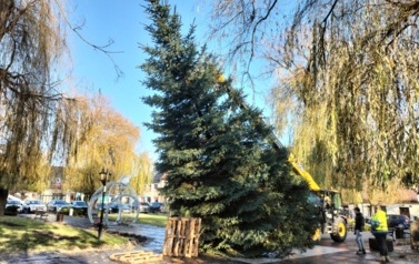 IMG20251203124911