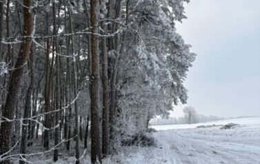 IMG-20260109-WA0000