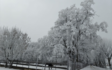 image014