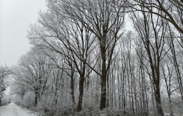 image011