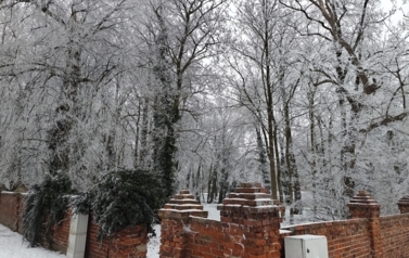 image006