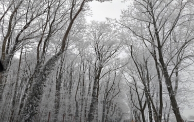 image001