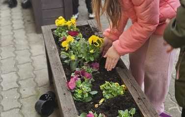 image008