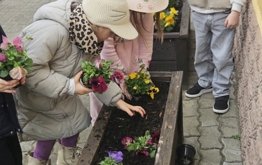 image007