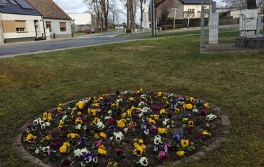 IMG20260326092110