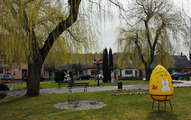 image 26 mar 2026, 11_15_41