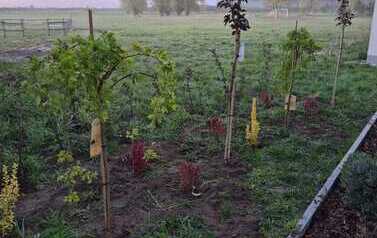 IMG-20260429-WA0012