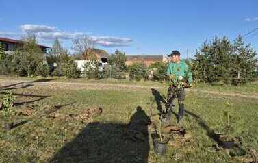 IMG-20260429-WA0010