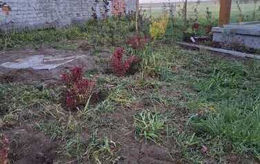 IMG-20260429-WA0005
