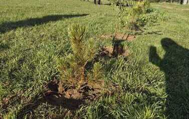 IMG-20260429-WA0004