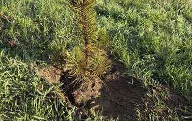 IMG-20260429-WA0003