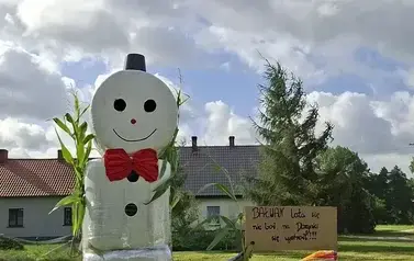 19
