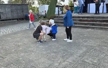 20260919_171255