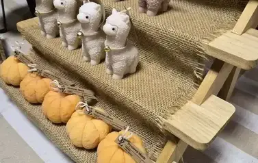 862727702_122216786384335083_588199905568100319_n