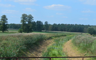 DSC_1447-1