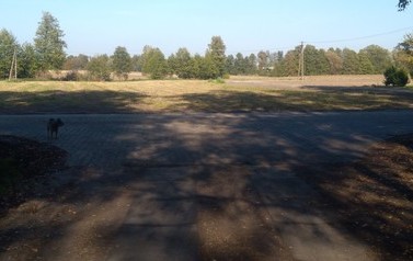 IMG_20191014_143637