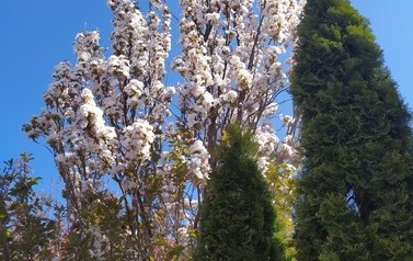 IMG_20200421_104118