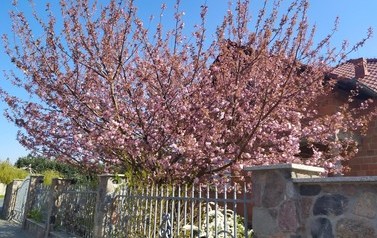 IMG_20200421_104109
