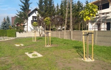 IMG_20201002_131333